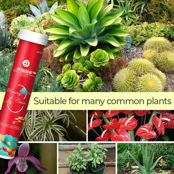 KISSHI™ Universal Slow-Release Organic Fertilizer 🌱4