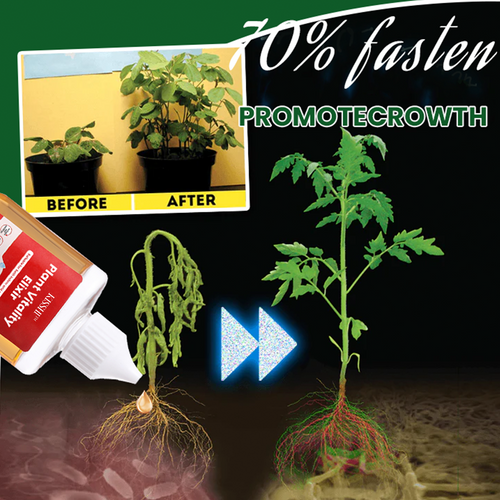 KISSHI™ Plant Vitality Elixir ACE