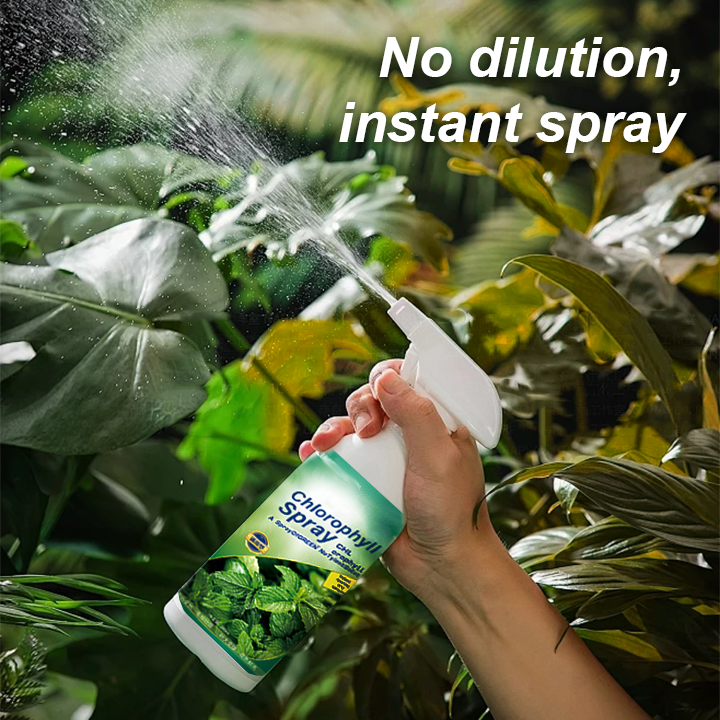 KISSHI™ Chlorophyll Spray ACE