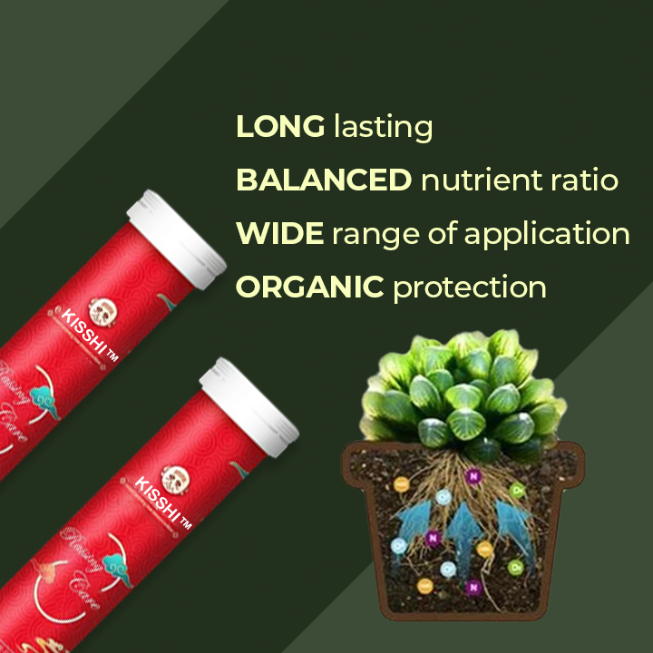 KISSHI™ Universal Slow-Release Organic Fertilizer 🌱4