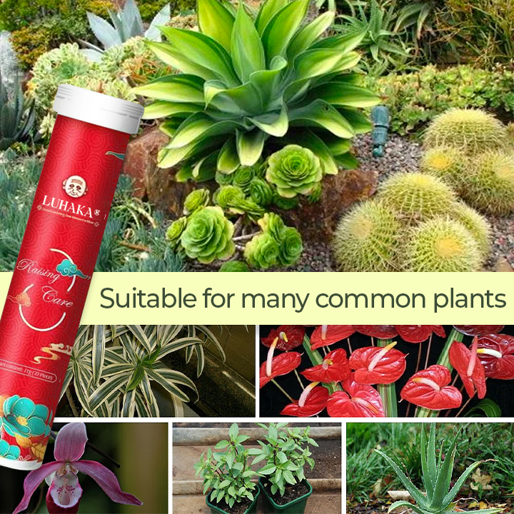 Luhaka® Universal Organic Fertilizer ACE 1