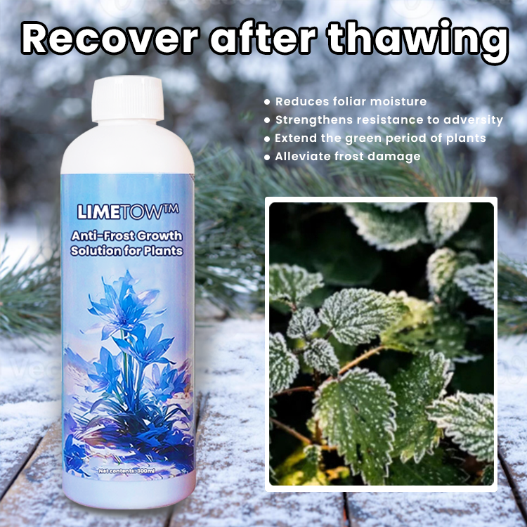 KISSHI™ Anti-Frost Growth Solution for Plants