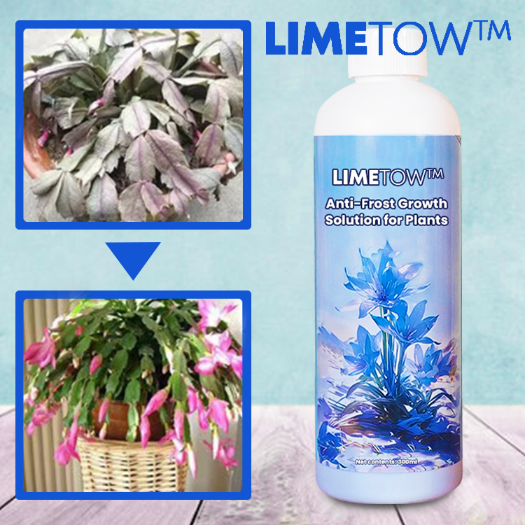 KISSHI™ Anti-Frost Growth Solution for Plants