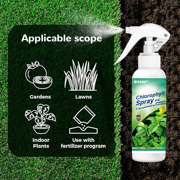 KISSHI™ Chlorophyll Spray ACE