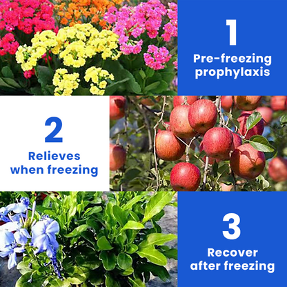 KISSHI™ Anti-Frost Growth Solution for Plants