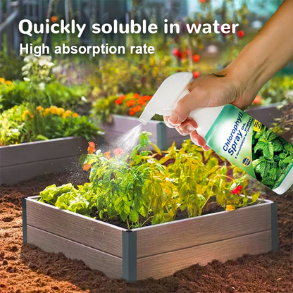 KISSHI™ Chlorophyll Spray ACE
