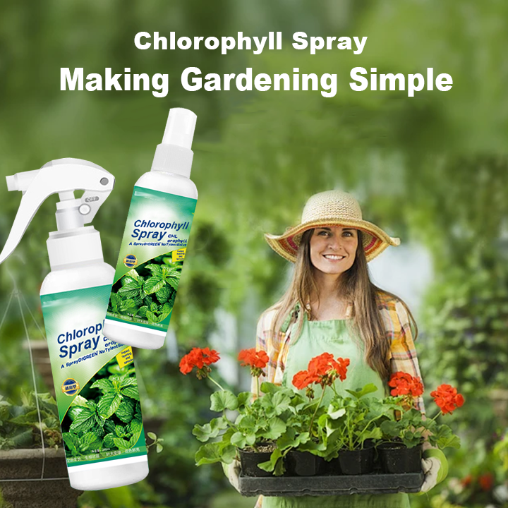 KISSHI™ Chlorophyll Spray ACE