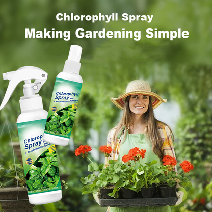 KISSHI™ Chlorophyll Spray ACE