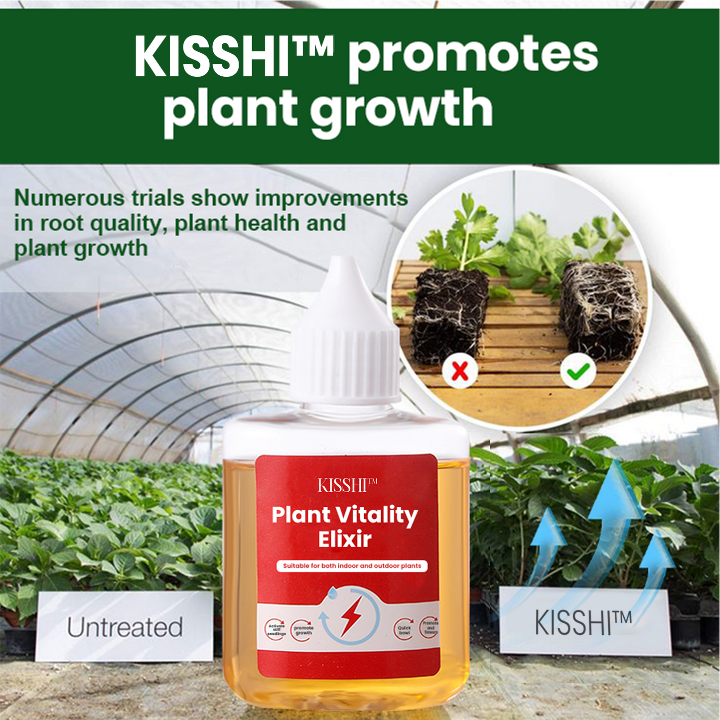 KISSHI™ Plant Vitality Elixir ACE