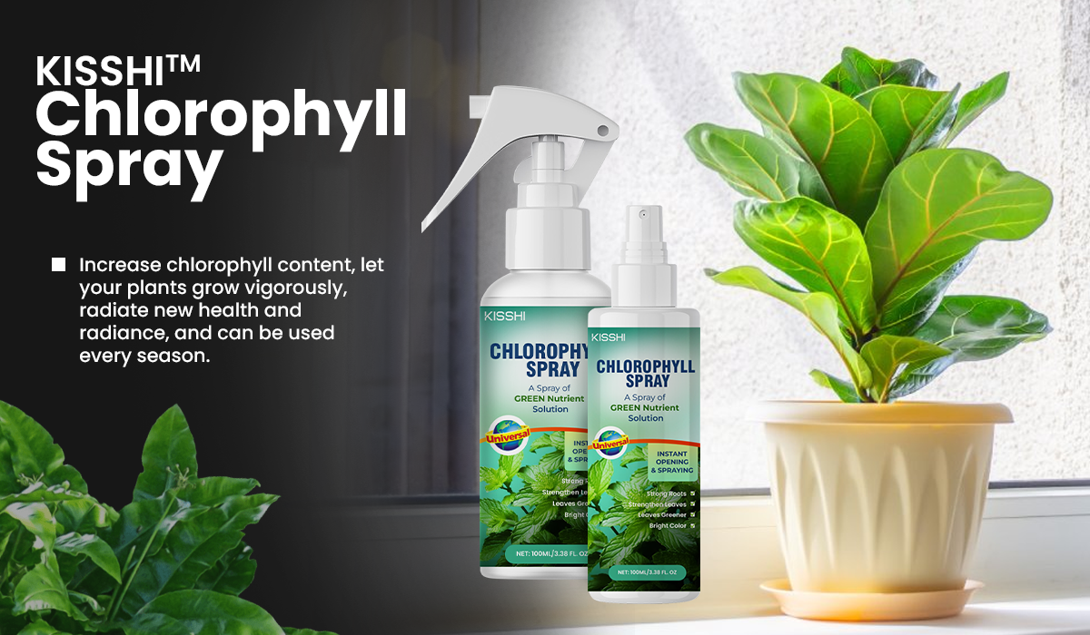 KISSHI™ Chlorophyll Spray 🪴1