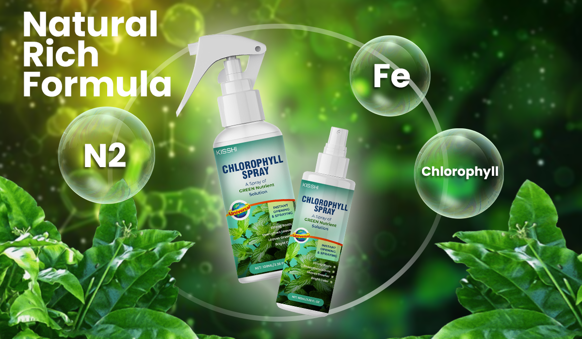 KISSHI™ Chlorophyll Spray 🪴1
