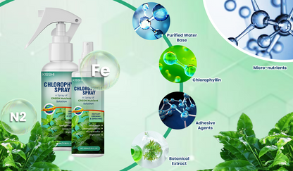 KISSHI™ Chlorophyll Spray 🪴1