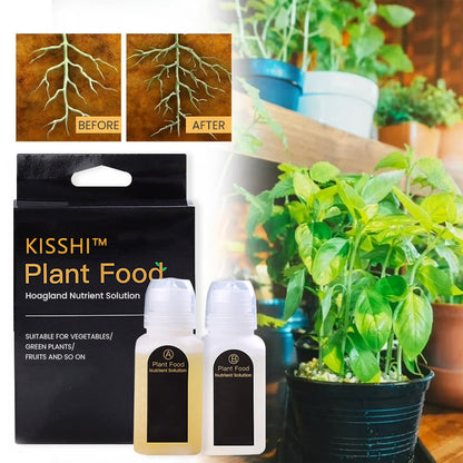 KISSHI™ Hoagland Nutrient Solution D05