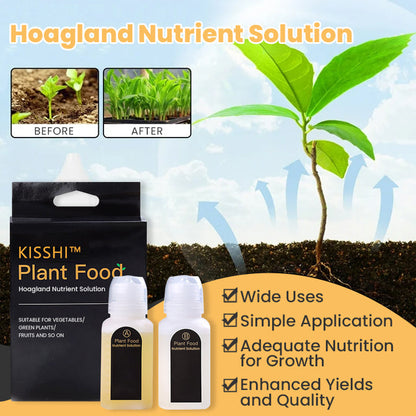 KISSHI™ Hoagland Nutrient Solution D05