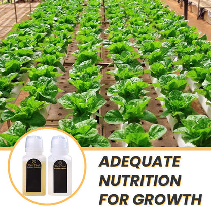 KISSHI™ Hoagland Nutrient Solution D05