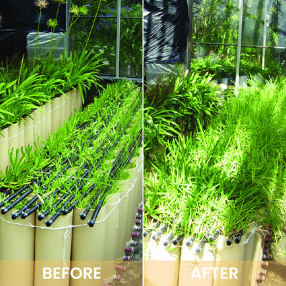 KISSHI™ Hoagland Nutrient Solution D05