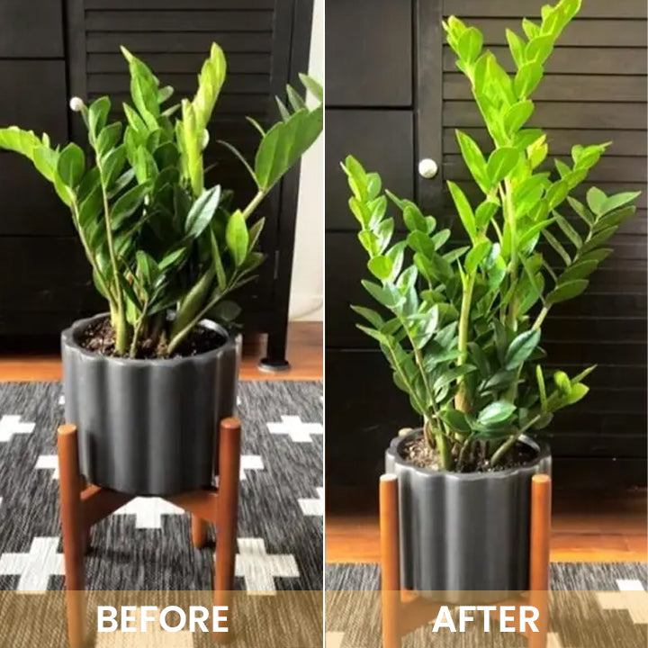 KISSHI™ Hoagland Nutrient Solution D05