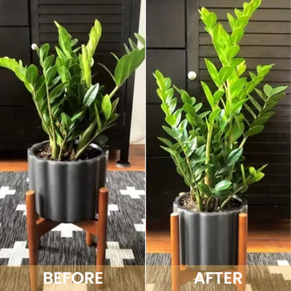 KISSHI™ Hoagland Nutrient Solution D05