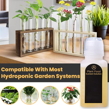 KISSHI™ Hoagland Nutrient Solution D05