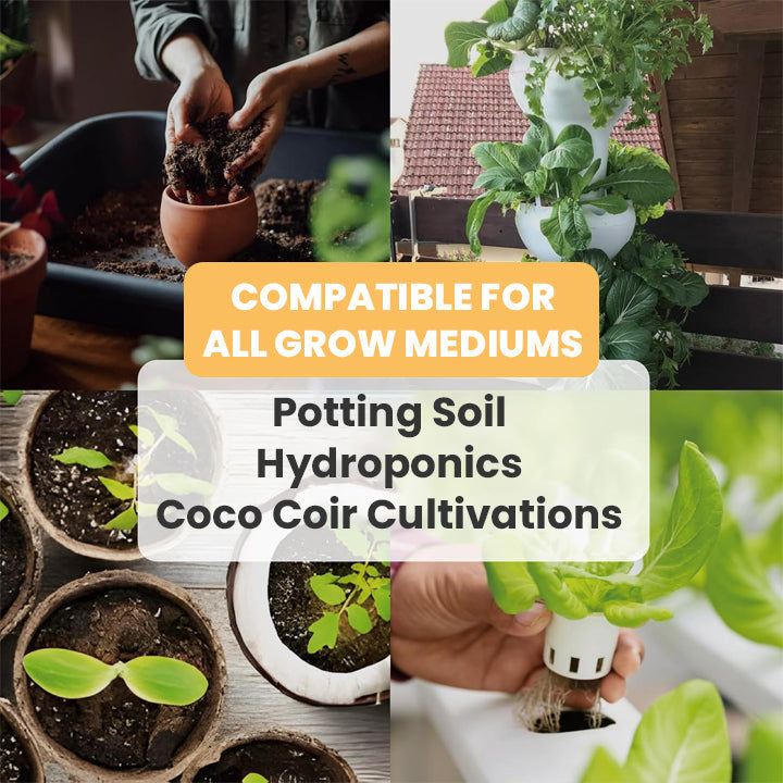KISSHI™ Hoagland Nutrient Solution D05