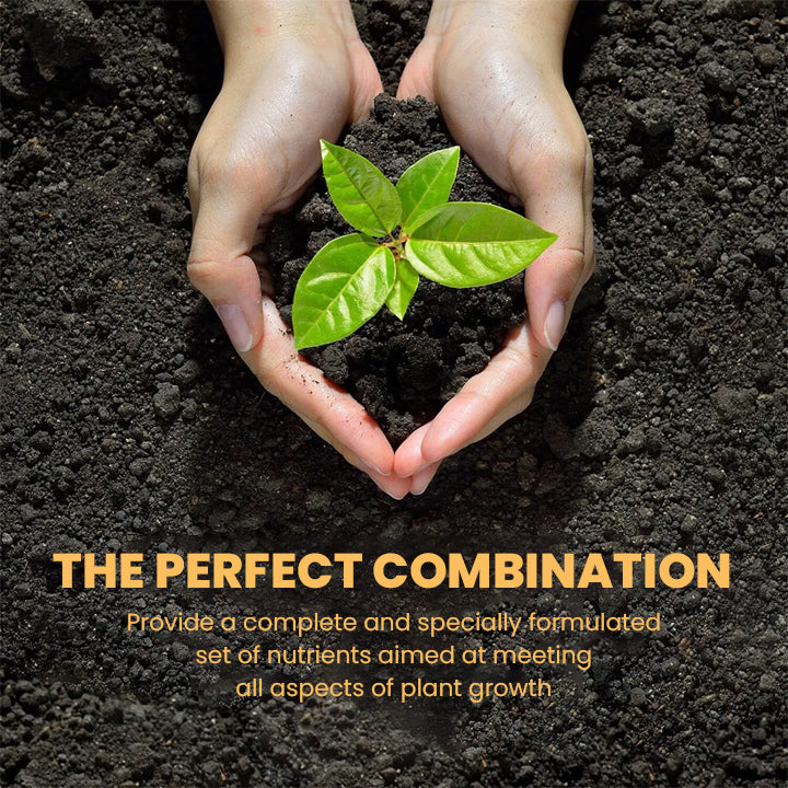 KISSHI™ Hoagland Nutrient Solution D05