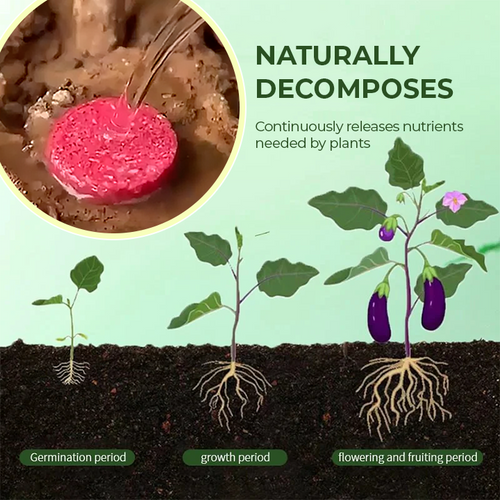 KISSHI™ Universal Slow-Release Organic Fertilizer 🌱4