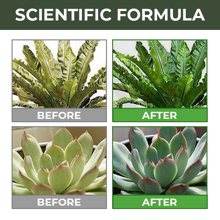KISSHI™ Universal Slow-Release Organic Fertilizer 🌱4