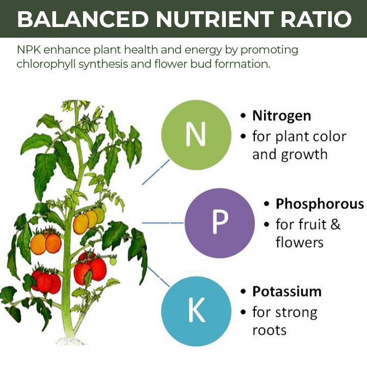 KISSHI™ Universal Slow-Release Organic Fertilizer 🌱4