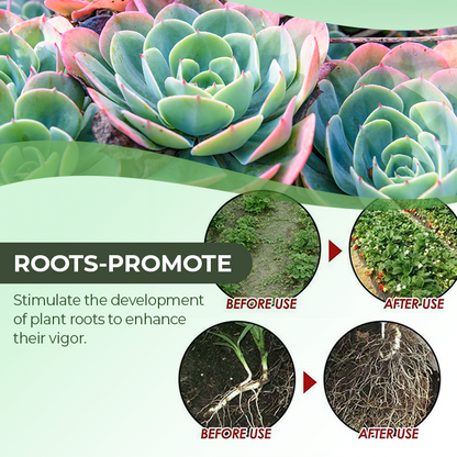 KISSHI™ Universal Slow-Release Organic Fertilizer 🌱4
