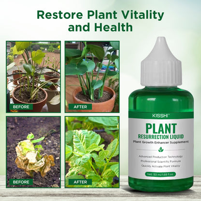 Plant Resurrection Liquid