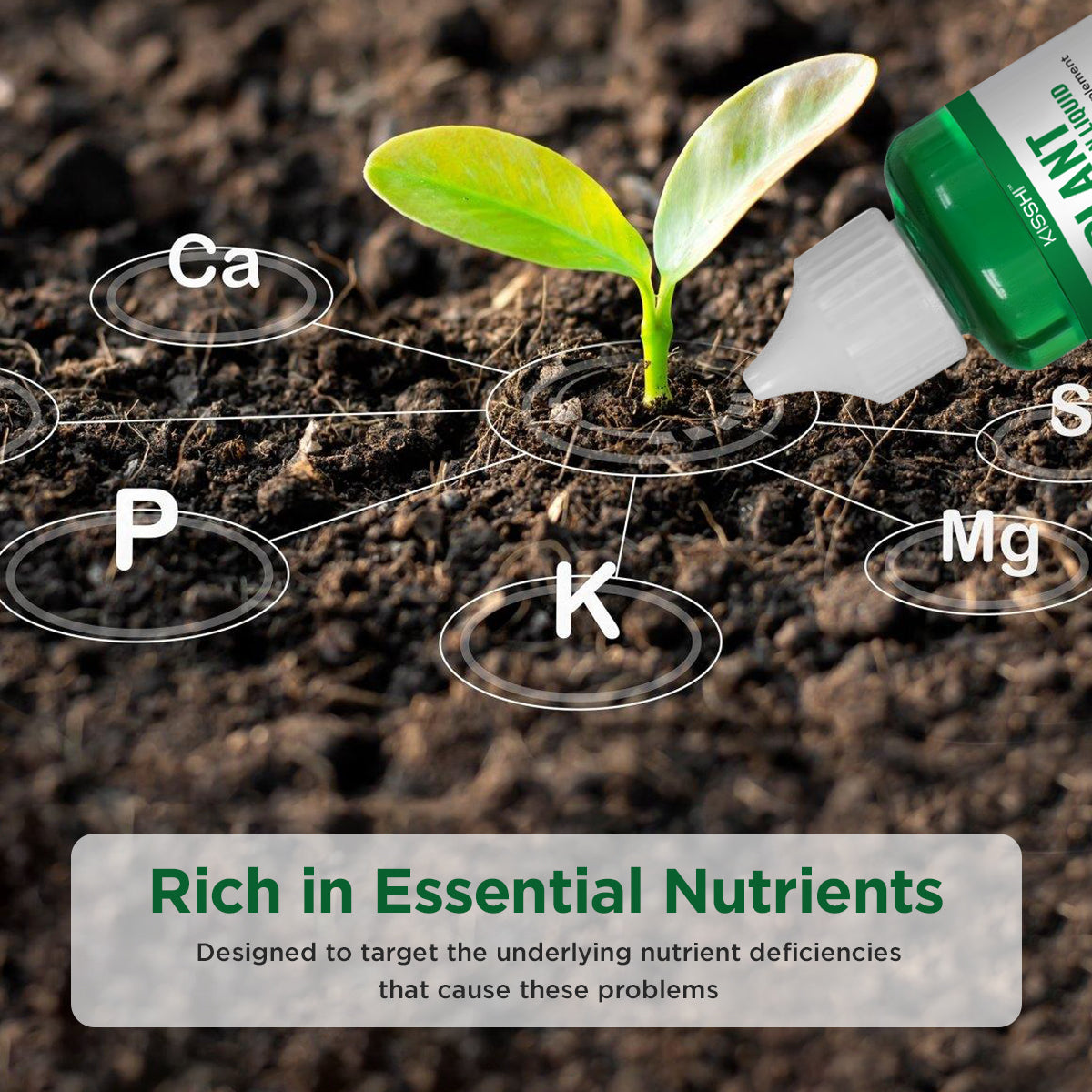 Plant Resurrection Liquid