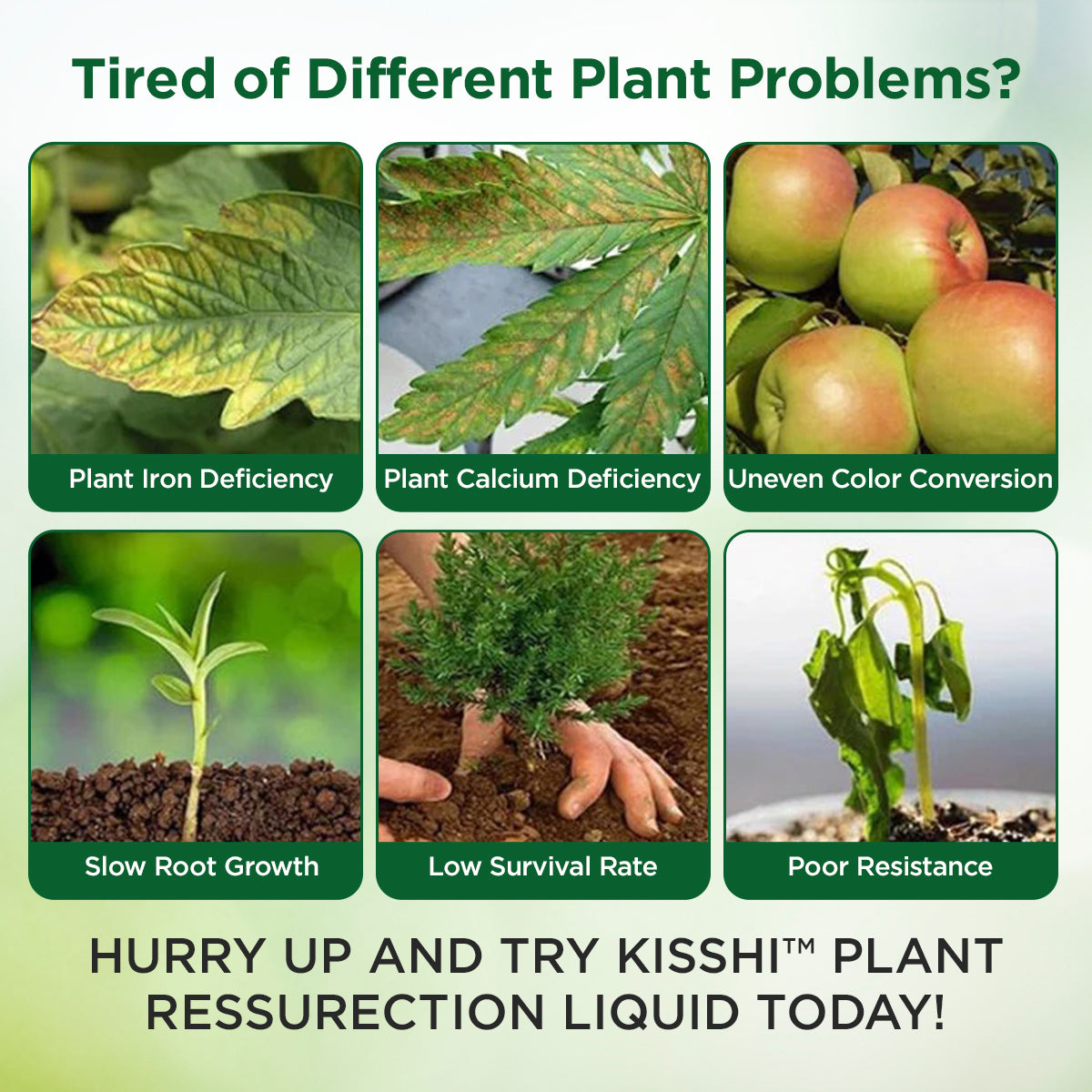 Plant Resurrection Liquid