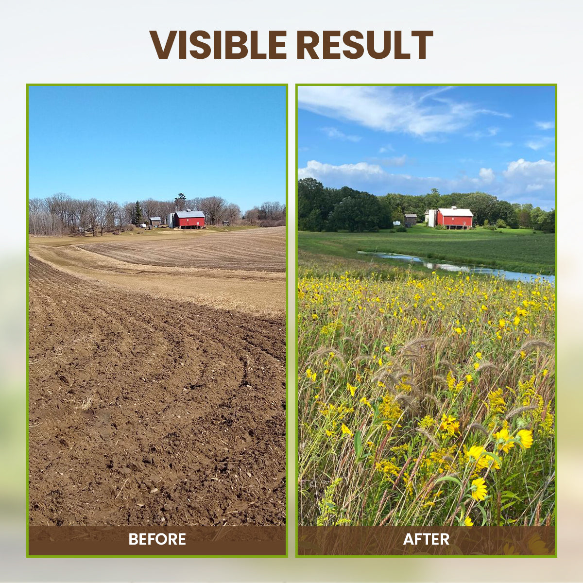 KISSHI™ Soil Activator New